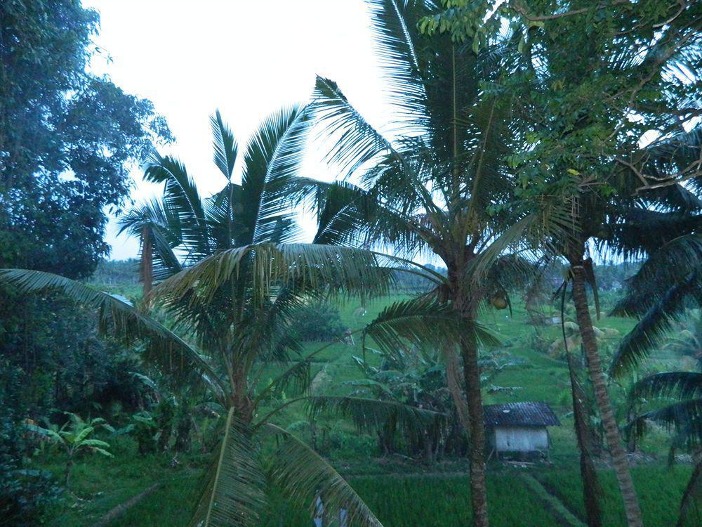 Suly Vegetarian Resort & Spa Ubud  Exterior photo